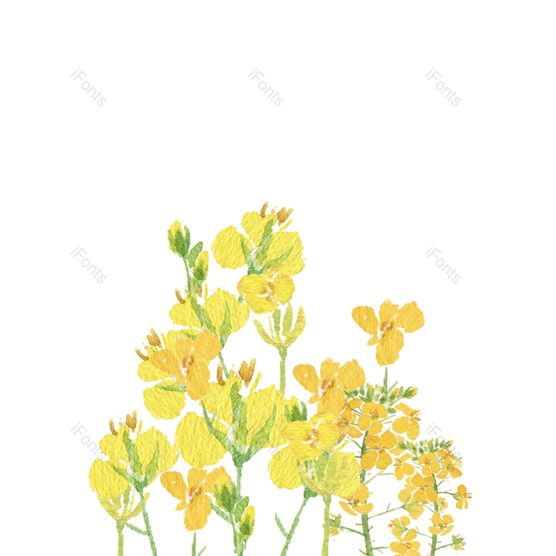 素材图片,花朵元素,鲜花PNG,春季免抠素材
